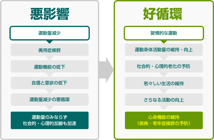 運動習慣がもたらす「好循環」